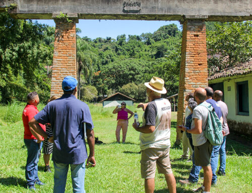 SENAR Rio oferece diversos cursos gratuitos  100% on-line e híbridos; Turismo Rural e Horticultura Orgânica são alguns deles