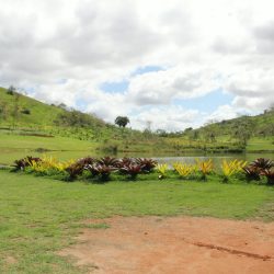 IMG-20260903-WA0017