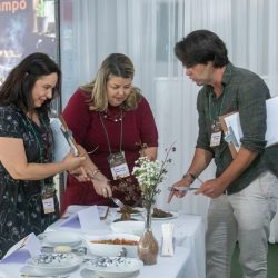 Receitas no Campo Duas Barras