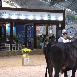 IMG_8764.JPG