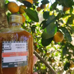 WhatsApp Image 2025-03-06 at 18.44.05