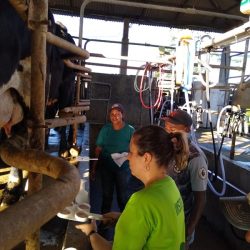 WhatsApp-Image-2025-03-07-at-14.36.23