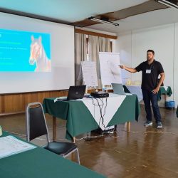 WhatsApp Image 2025-03-31 at 16.59.24