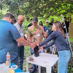 WhatsApp Image 2025-03-31 at 16.59.37 (1)