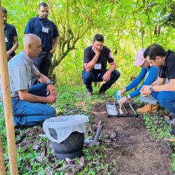 WhatsApp Image 2025-03-31 at 16.59.37