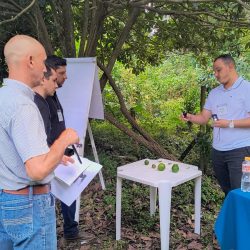 WhatsApp Image 2025-03-31 at 17.01.12