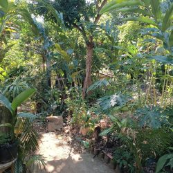 WhatsApp Image 2025-05-18 at 10.54.22