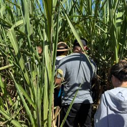 WhatsApp Image 2025-05-19 at 12.19.53 (1)