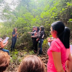 WhatsApp Image 2025-05-31 at 20.05.41 (1)