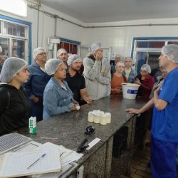 WhatsApp Image 2025-06-17 at 16.14.17 (1)