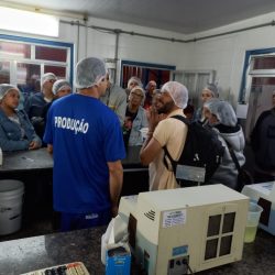 WhatsApp Image 2025-06-17 at 16.14.17