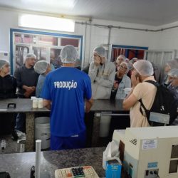 WhatsApp Image 2025-06-17 at 16.14.18