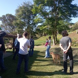 WhatsApp Image 2025-06-28 at 20.33.29