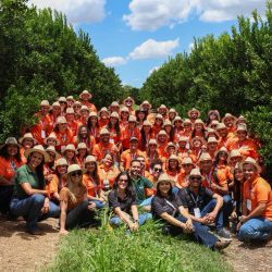 WhatsApp Image 2025-11-18 at 10.18.33 (1)