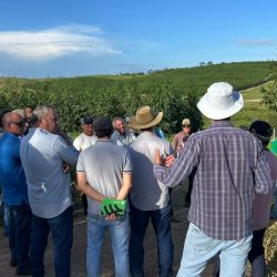 WhatsApp-Image-2026-01-14-at-13.32.29-3