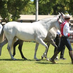 WhatsApp Image 2026-03-18 at 16.06.35 (4)