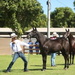 WhatsApp Image 2026-03-18 at 16.06.35 (5)