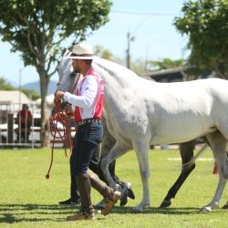 WhatsApp Image 2026-03-18 at 16.06.35 (6)