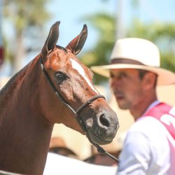 WhatsApp Image 2026-03-18 at 16.06.35 (7)