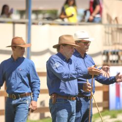 WhatsApp Image 2026-03-18 at 16.06.36 (1)