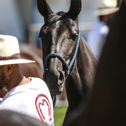 WhatsApp Image 2026-03-18 at 16.06.36 (2)