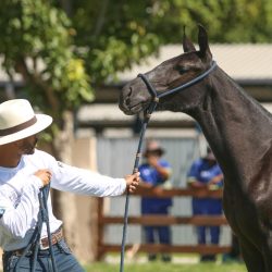 WhatsApp Image 2026-03-18 at 16.06.36