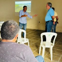 Implantação de Lavoura Citricultura