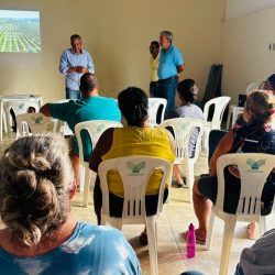 Implantação de Lavoura Citricultura