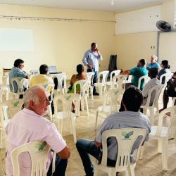 Implantação de Lavoura Citricultura