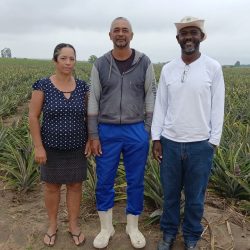 bccf0a4e-51b2-42a7-96c5-9a5ac2892e49